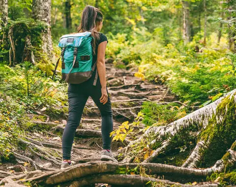 Persona con mochila caminando por un sendero boscoso lleno de raíces y vegetación.